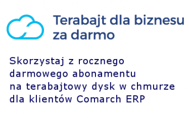 Teranajt dla biznesu.png